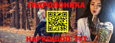 сатива Краснокаменск