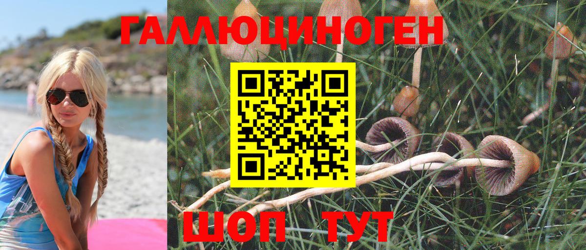 Галлюциногенные грибы MAGIC MUSHROOMS Губкинский